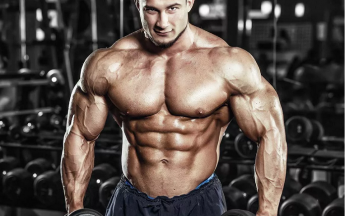 NPP Steroids Cycle A Comprehensive Guide