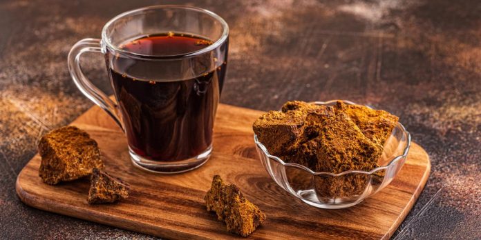 Chaga Tea Benefits: Why Everyone is Talking About It